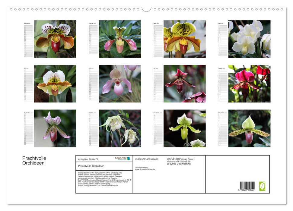 Prachtvolle Orchideen (CALVENDO Wandkalender 2026)