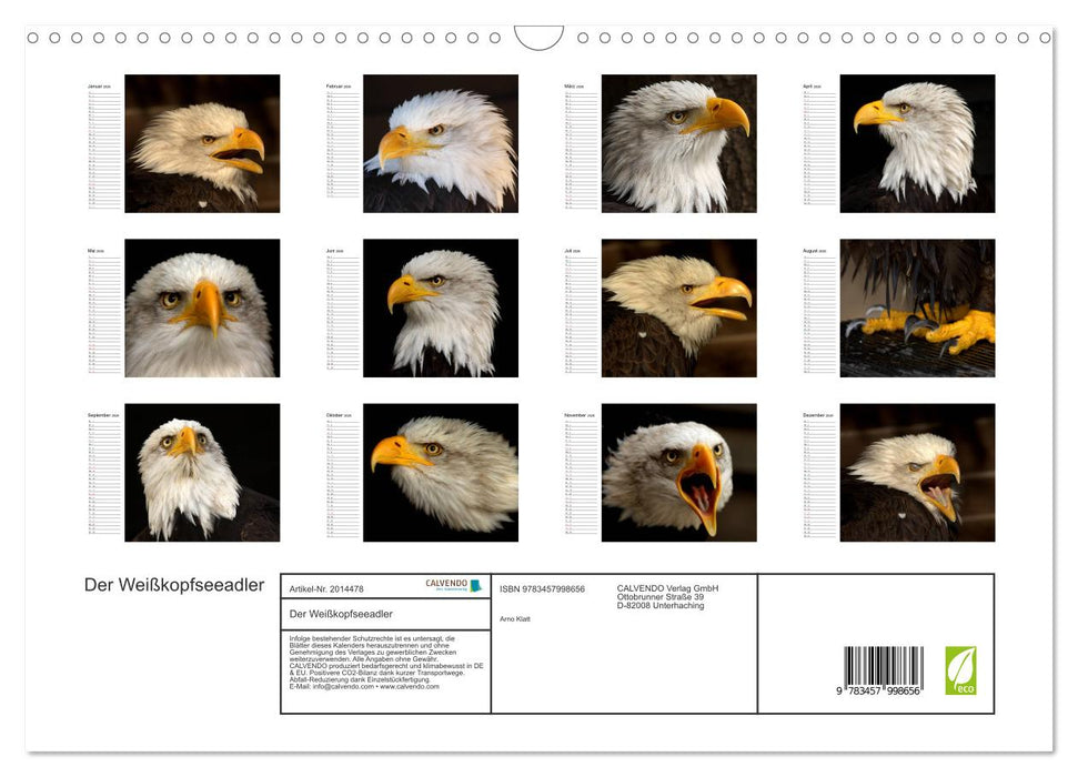 Der Weißkopfseeadler (CALVENDO Wandkalender 2026)