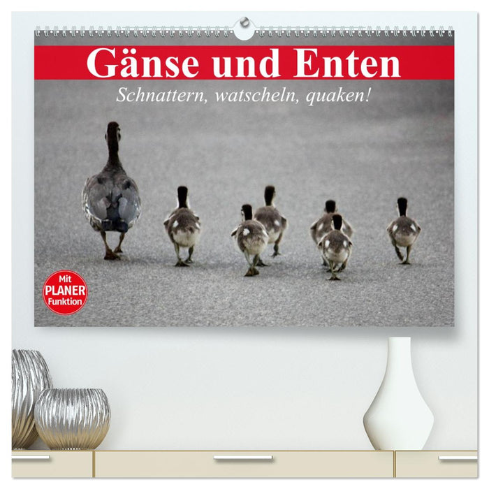 Gänse und Enten. Schnattern, watscheln, quaken! (CALVENDO Premium Wandkalender 2026)