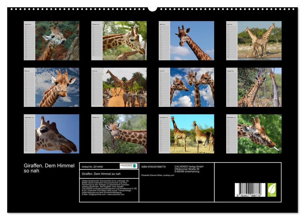Giraffen. Dem Himmel so nah (CALVENDO Premium Wandkalender 2026)