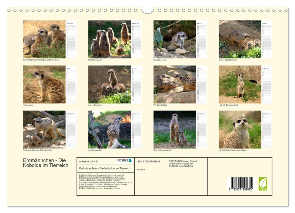 Erdmännchen - Die Kobolde im Tierreich (CALVENDO Wandkalender 2026)