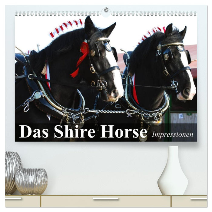 Das Shire Horse. Impressionen (CALVENDO Premium Wandkalender 2026)