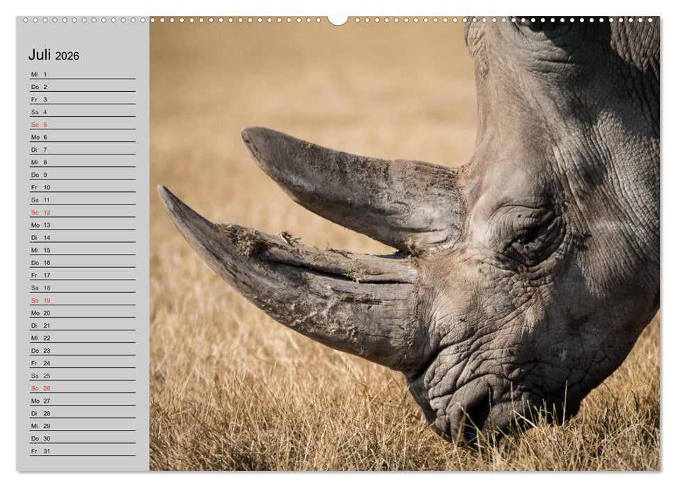 Nashörner und Flusspferde (CALVENDO Premium Wandkalender 2026)