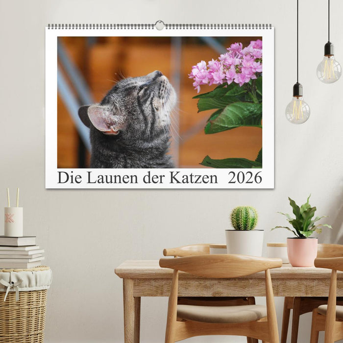 Die Launen der Katzen 2026 (CALVENDO Wandkalender 2026)