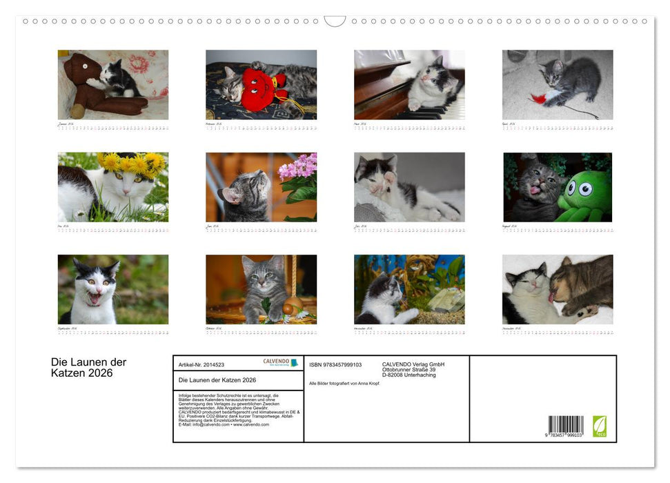 Die Launen der Katzen 2026 (CALVENDO Wandkalender 2026)