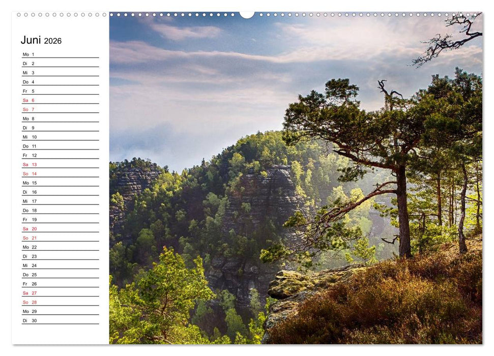 Sächsische Schweiz – Impressionen (CALVENDO Wandkalender 2026)