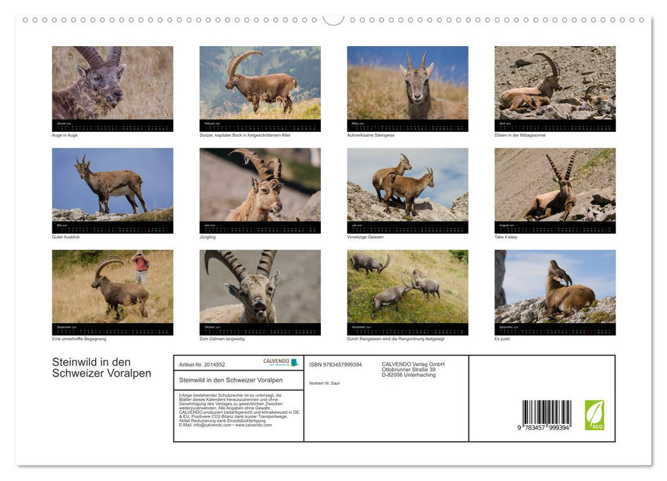 Steinwild in den Schweizer Voralpen (CALVENDO Premium Wandkalender 2026)