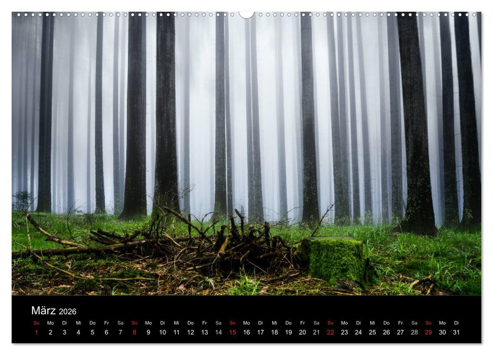 Schwabens Schönheit (CALVENDO Premium Wandkalender 2026)