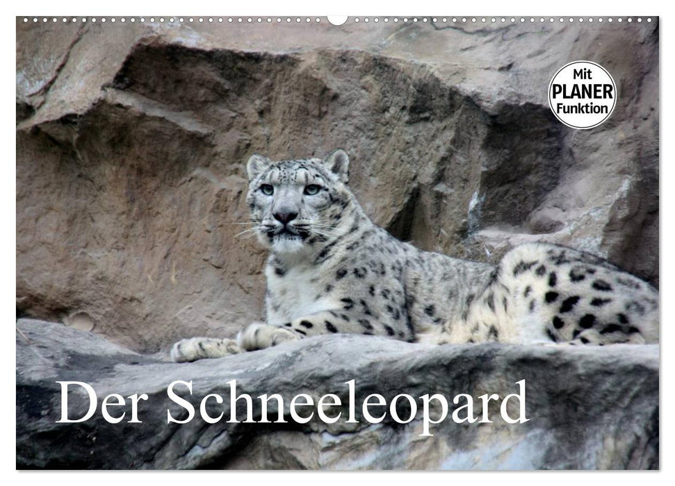 Der Schneeleopard (CALVENDO Wandkalender 2026)