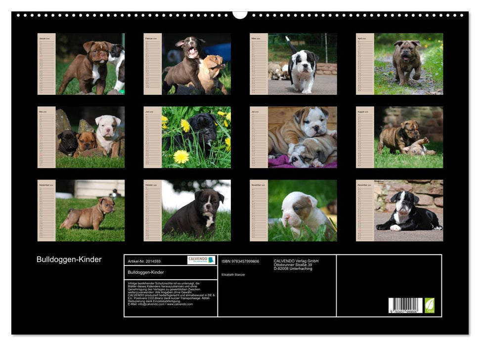 Bulldoggen-Kinder (CALVENDO Wandkalender 2026)