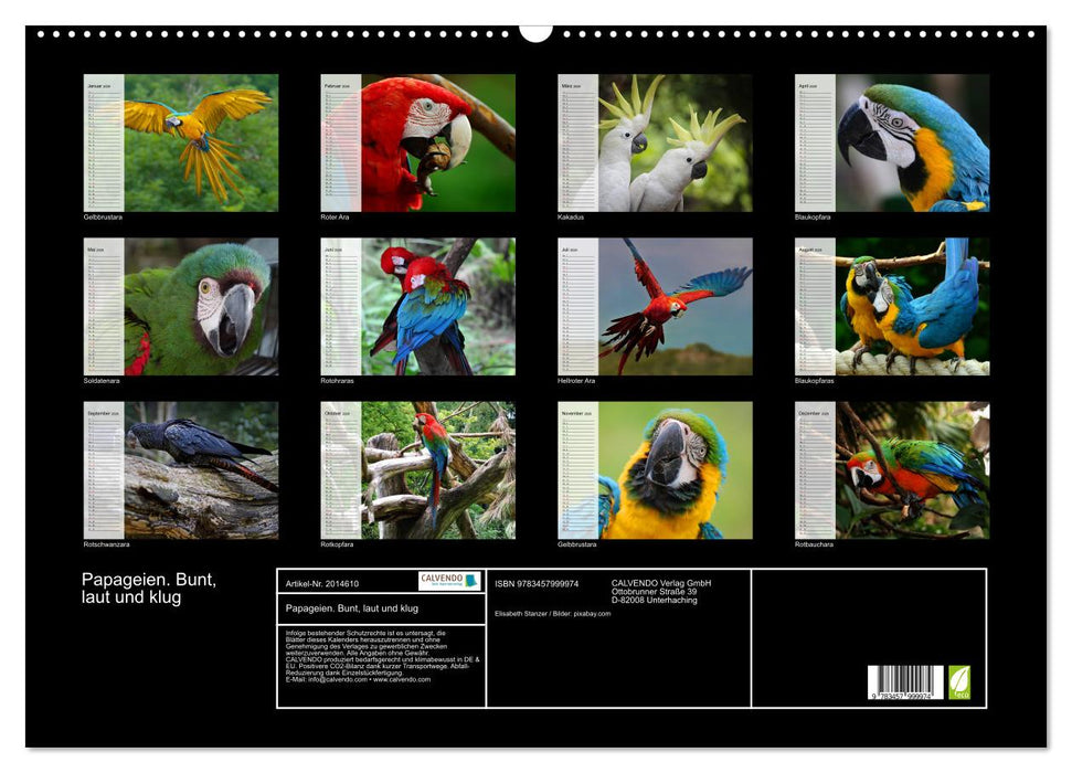 Papageien. Bunt, laut und klug (CALVENDO Wandkalender 2026)