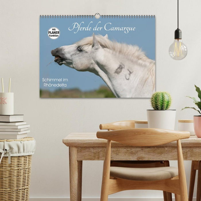 Pferde der Camargue – Schimmel im Rhônedelta (CALVENDO Wandkalender 2026)