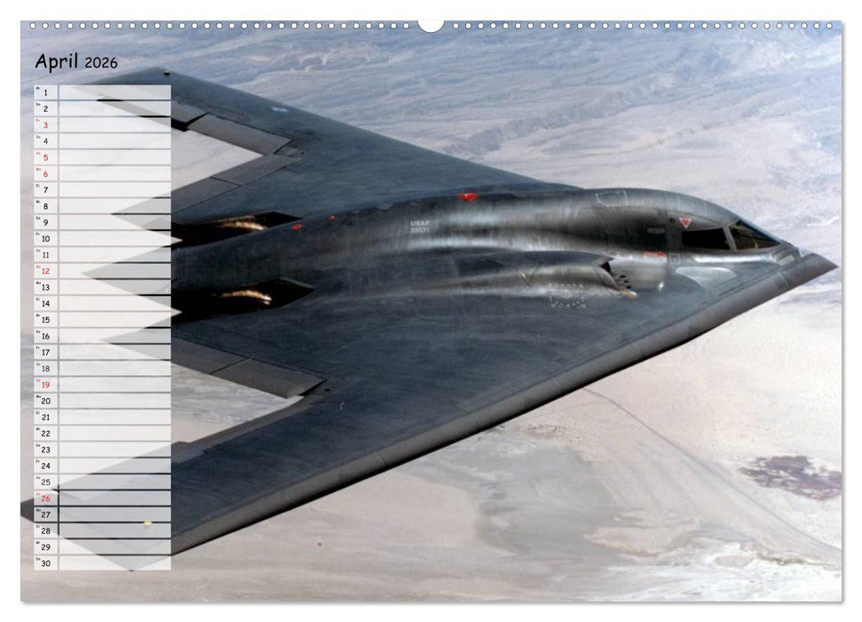 Luftwaffe. Kampfflugzeuge der USA (CALVENDO Wandkalender 2026)