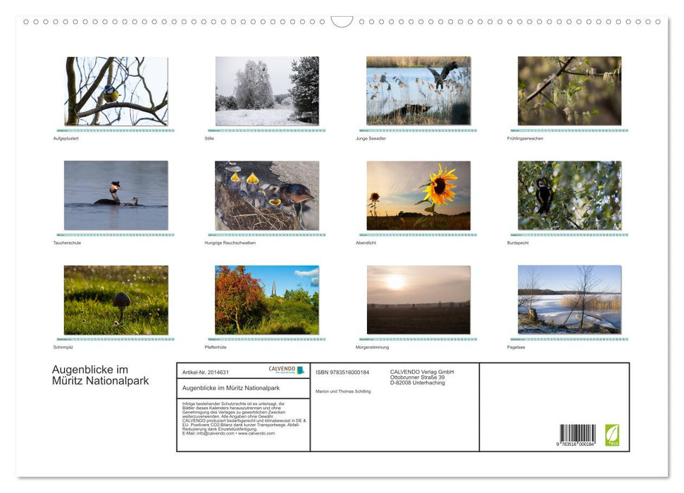 Augenblicke im Müritz Nationalpark (CALVENDO Wandkalender 2026)