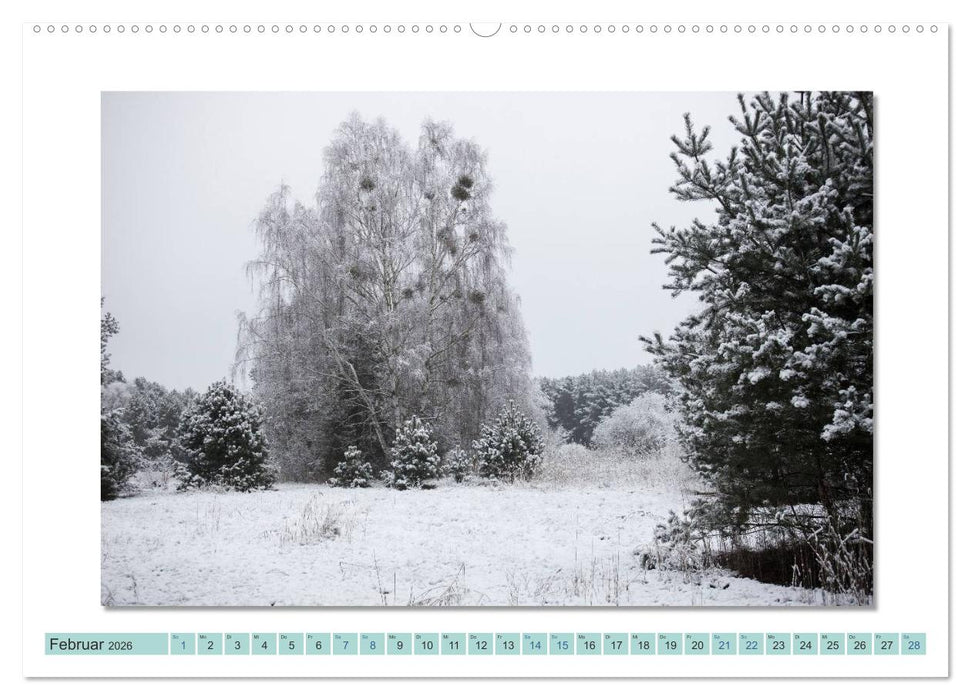 Augenblicke im Müritz Nationalpark (CALVENDO Wandkalender 2026)