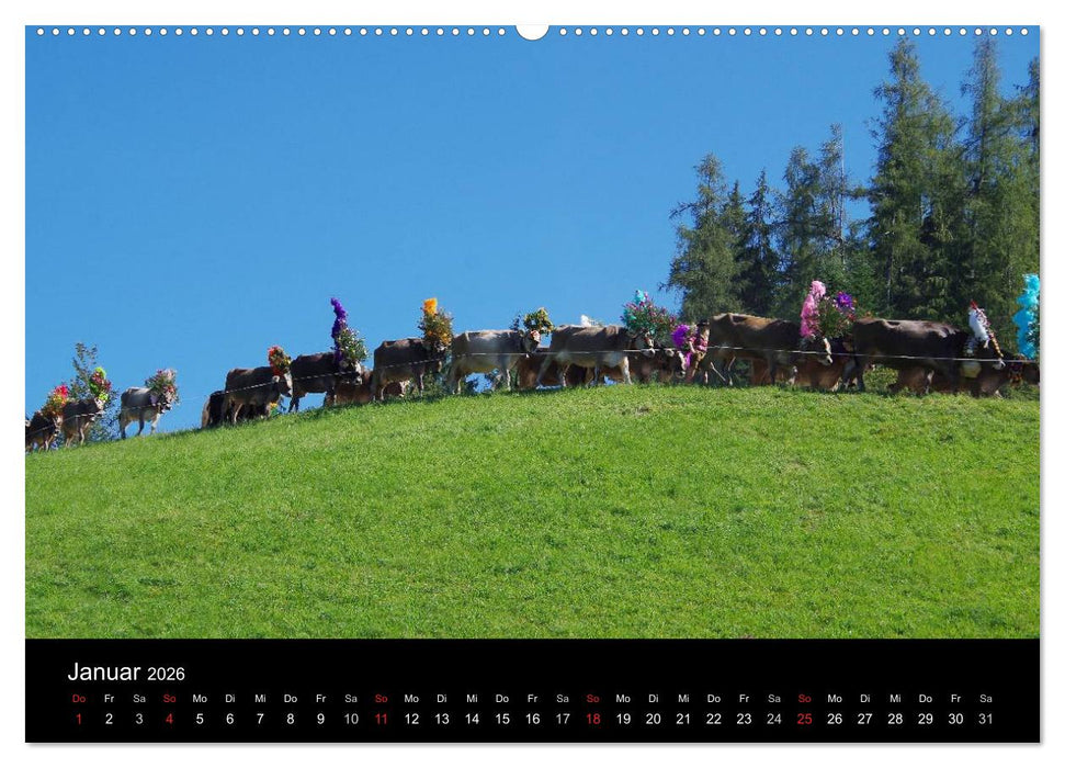 Almabtrieb in Tirol (CALVENDO Premium Wandkalender 2026)