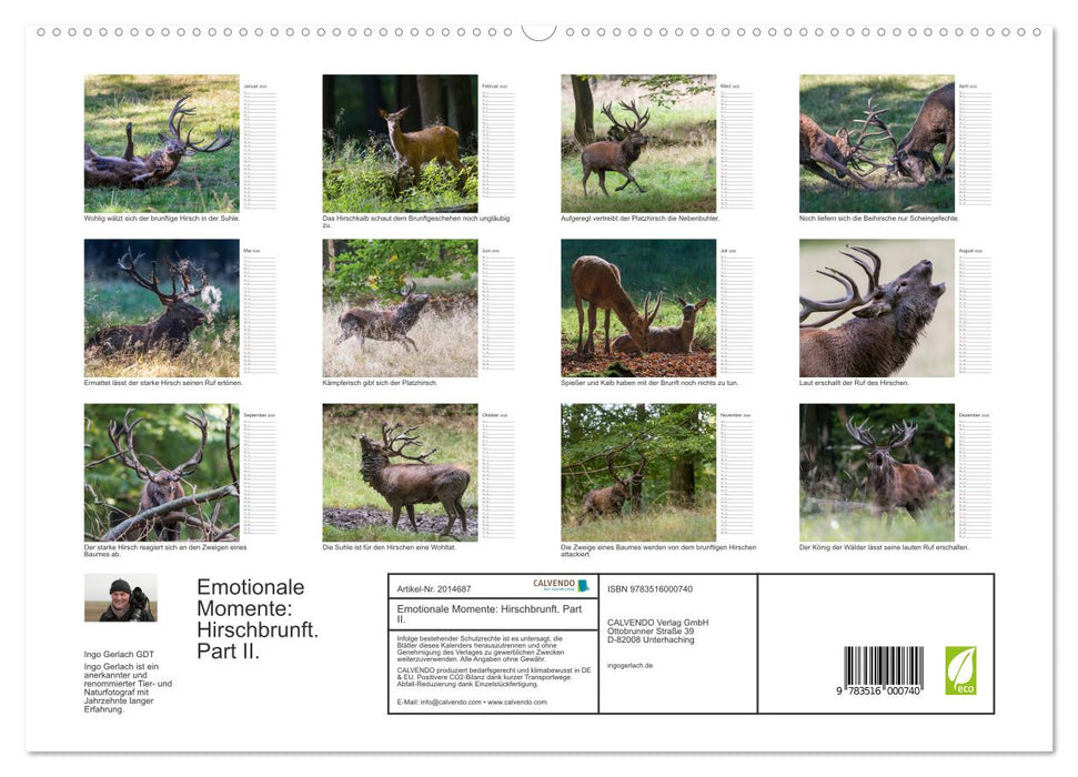 Emotionale Momente: Hirschbrunft. Part II. (CALVENDO Premium Wandkalender 2026)