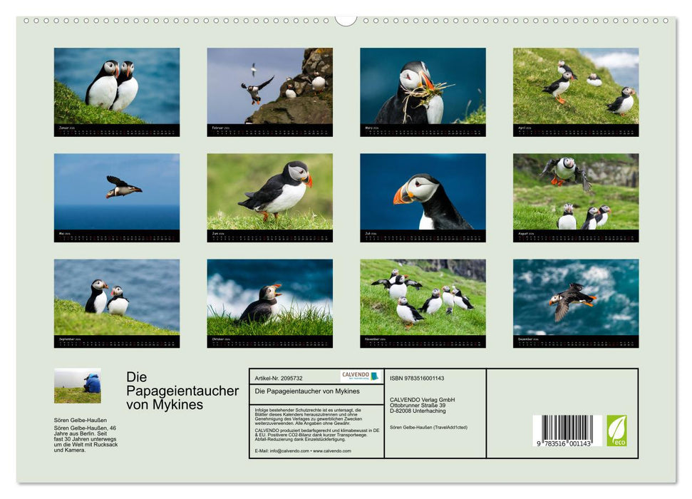 Die Papageientaucher von Mykines (CALVENDO Premium Wandkalender 2026)