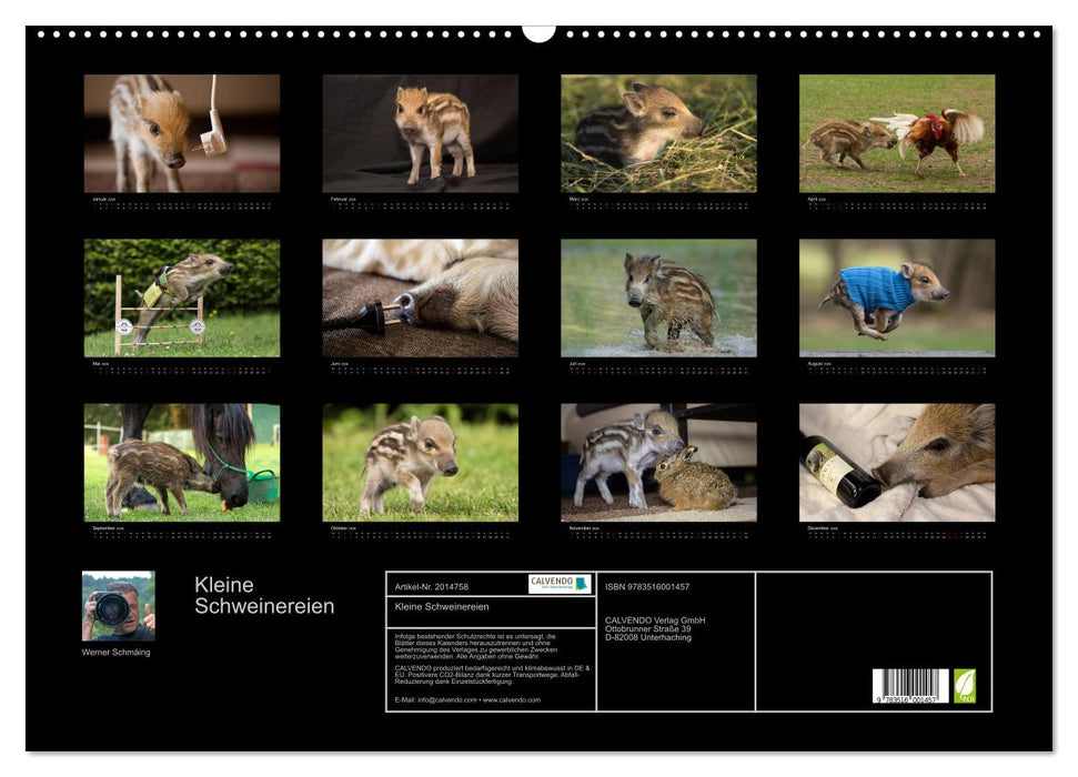 Kleine Schweinereien (CALVENDO Wandkalender 2026)