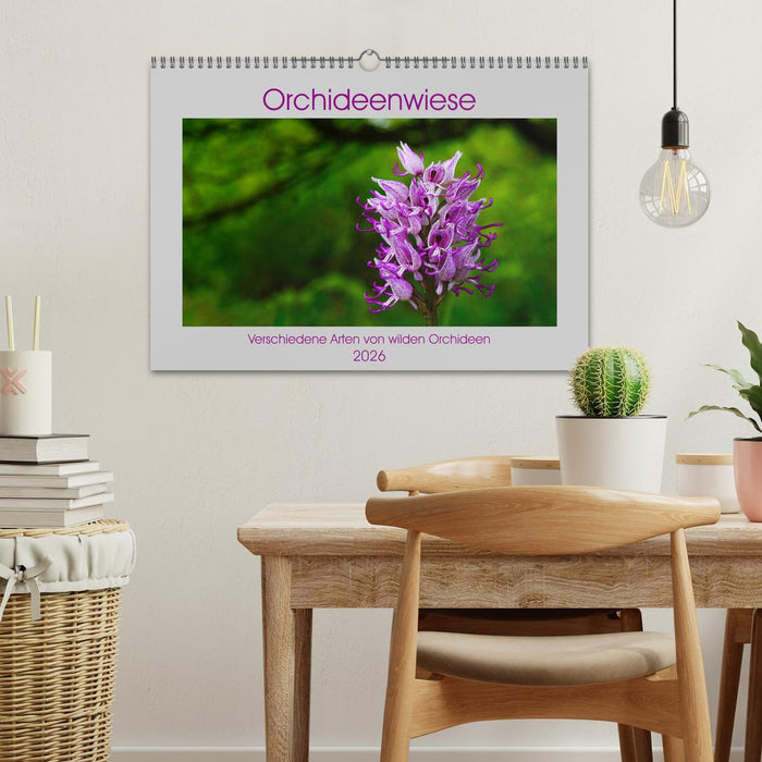 Orchideenwiese 2026 (CALVENDO Wandkalender 2026)