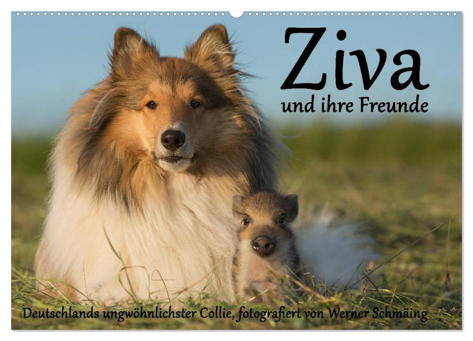 Ziva und ihre Freunde (CALVENDO Wandkalender 2026)