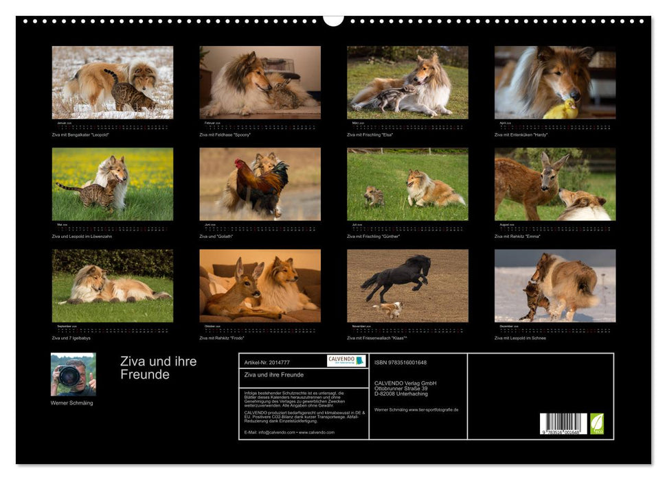 Ziva und ihre Freunde (CALVENDO Wandkalender 2026)