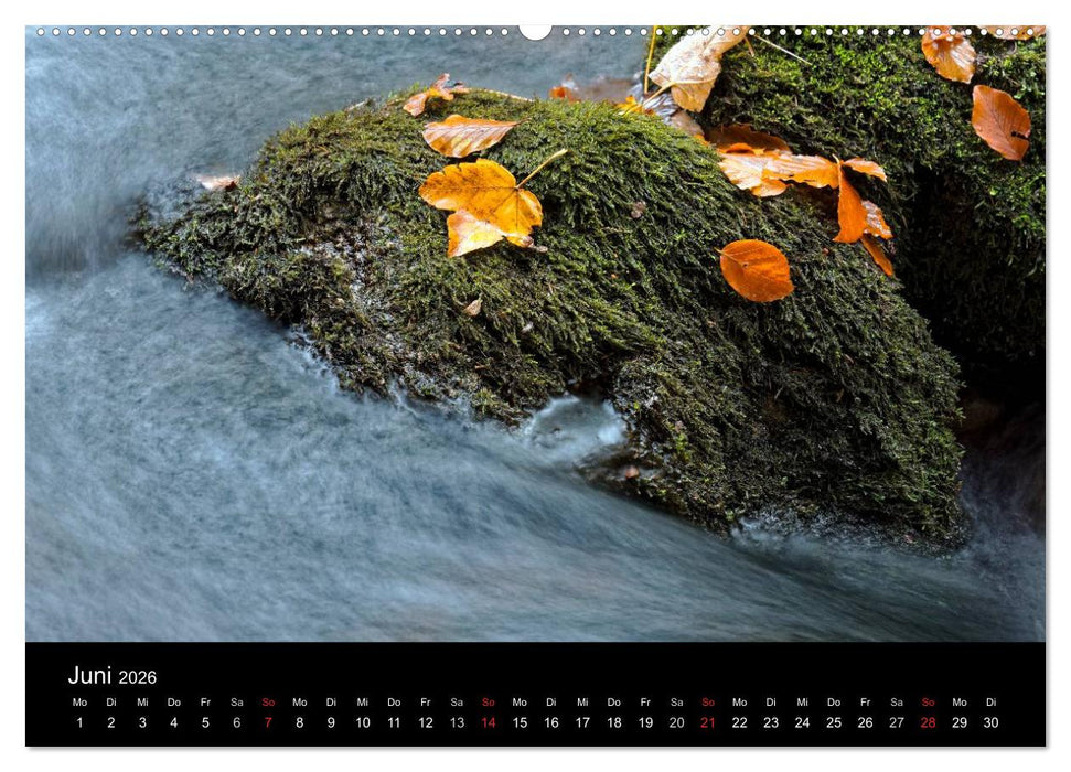 Herbst im Nationalpark Bayerischer Wald (CALVENDO Wandkalender 2026)