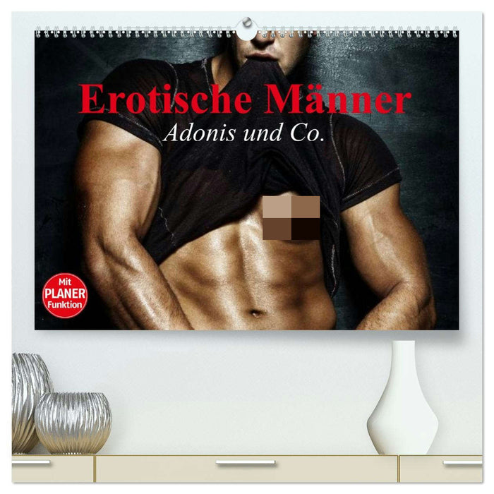 Erotische Männer. Adonis und Co. (CALVENDO Premium Wandkalender 2026)