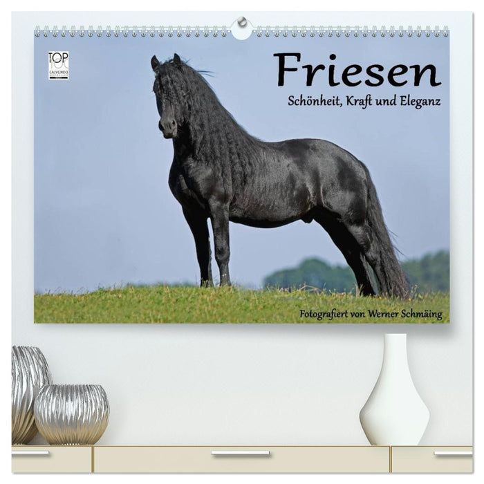 Friesen - Schönheit, Kraft und Eleganz (CALVENDO Premium Wandkalender 2026)