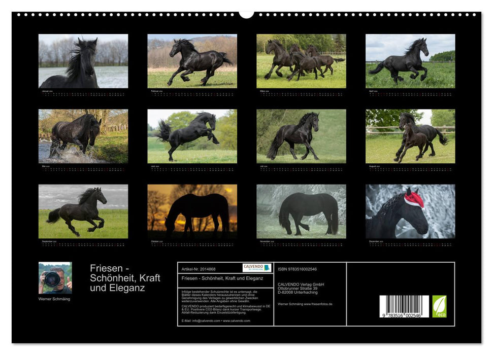 Friesen - Schönheit, Kraft und Eleganz (CALVENDO Premium Wandkalender 2026)