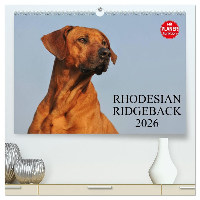 Rhodesian Ridgeback 2026 (CALVENDO Premium Wandkalender 2026)