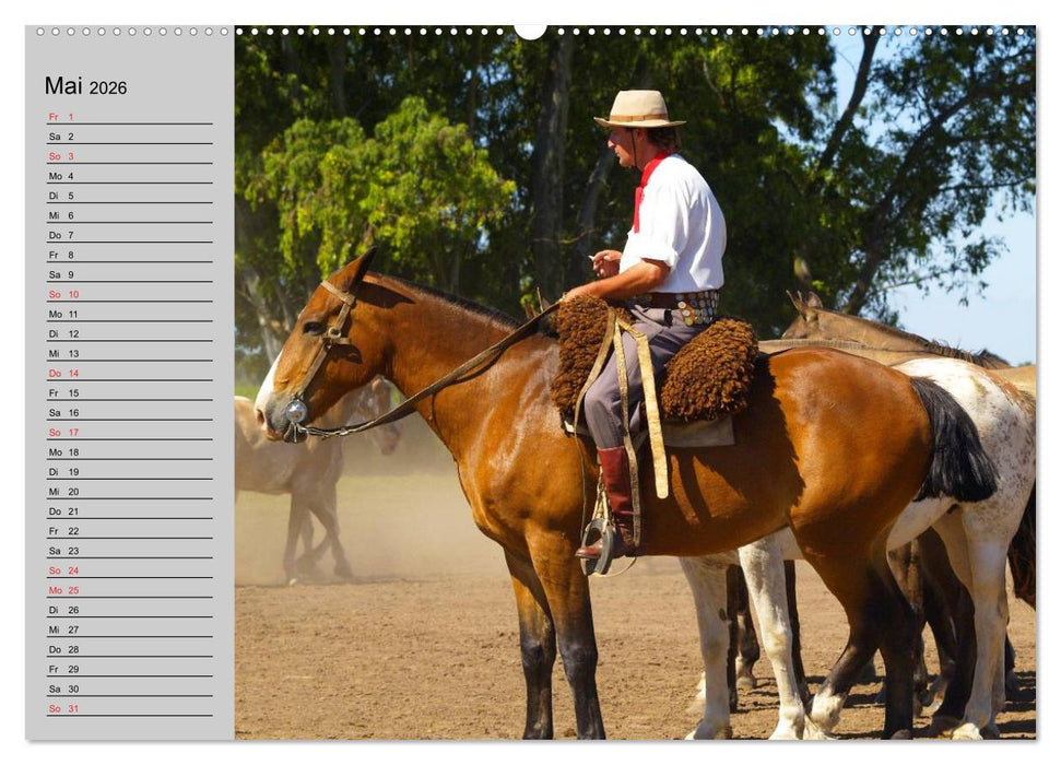 Argentinien - Impressionen (CALVENDO Wandkalender 2026)