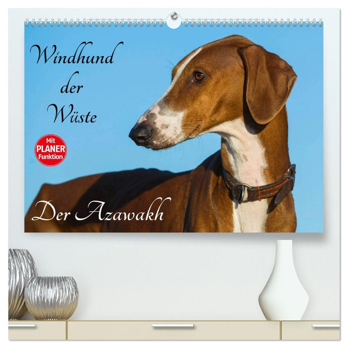 Windhund der Wüste - Der Azawakh (CALVENDO Premium Wandkalender 2026)