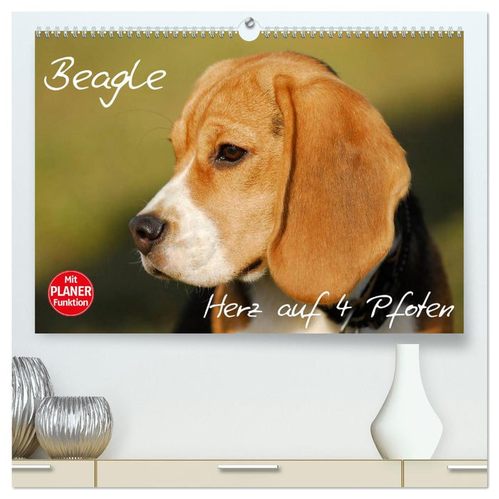 Beagle - Herz auf 4 Pfoten (CALVENDO Premium Wandkalender 2026)