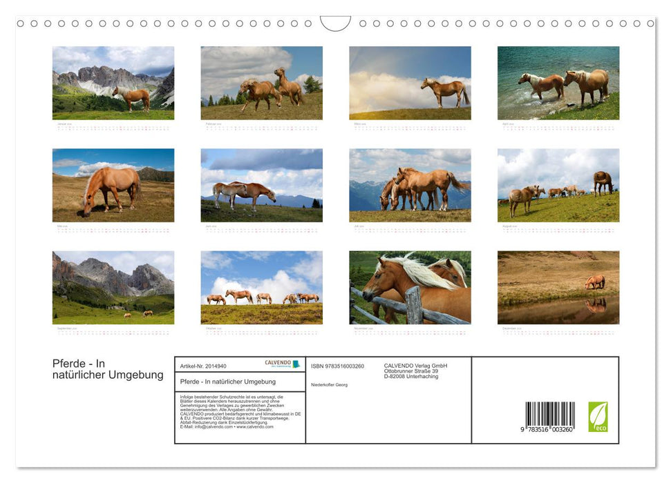 Pferde - In natürlicher Umgebung (CALVENDO Wandkalender 2026)
