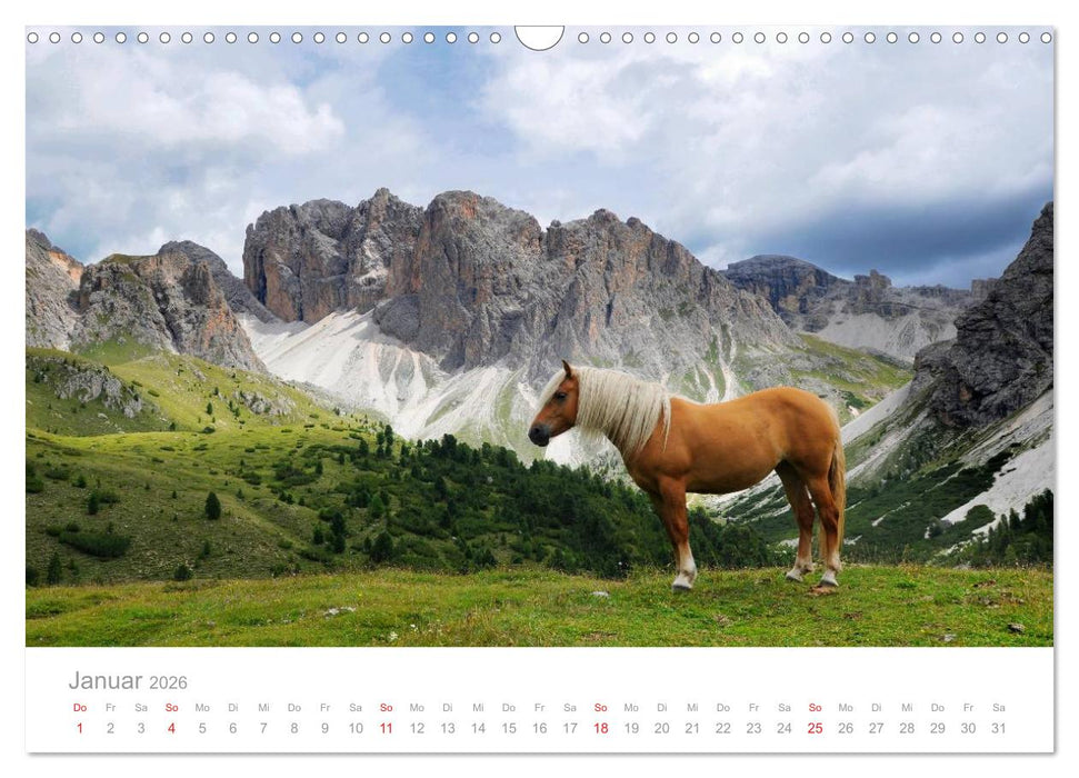 Pferde - In natürlicher Umgebung (CALVENDO Wandkalender 2026)