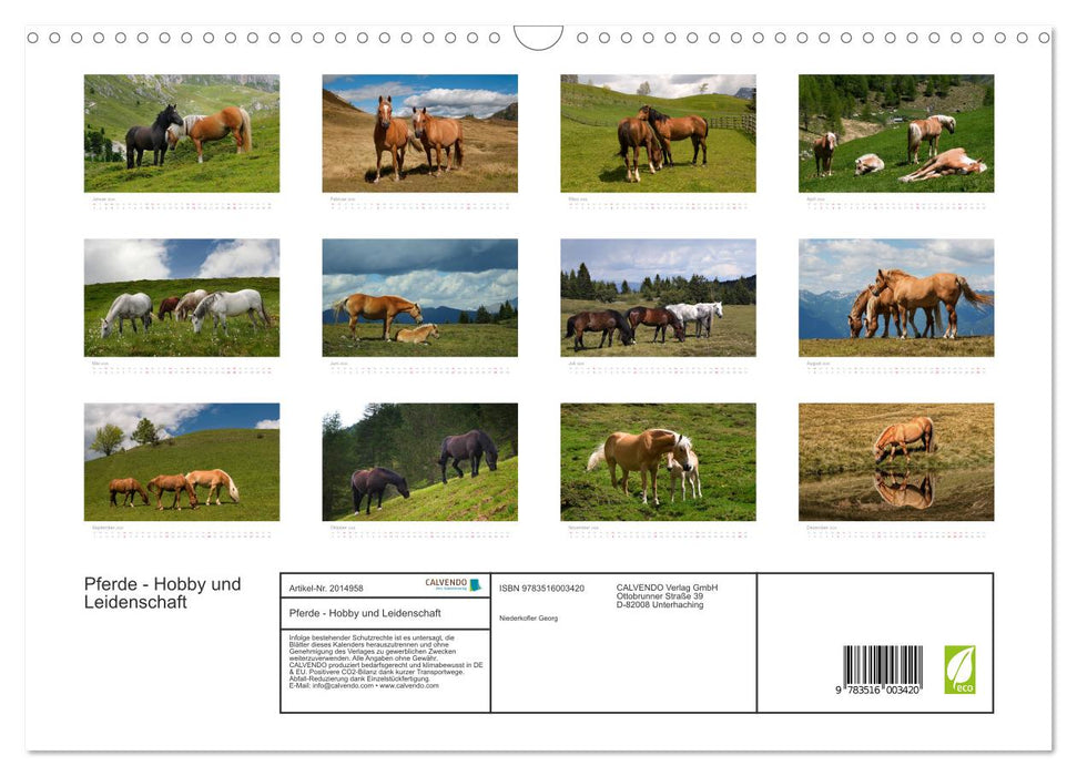 Pferde - Hobby und Leidenschaft (CALVENDO Wandkalender 2026)