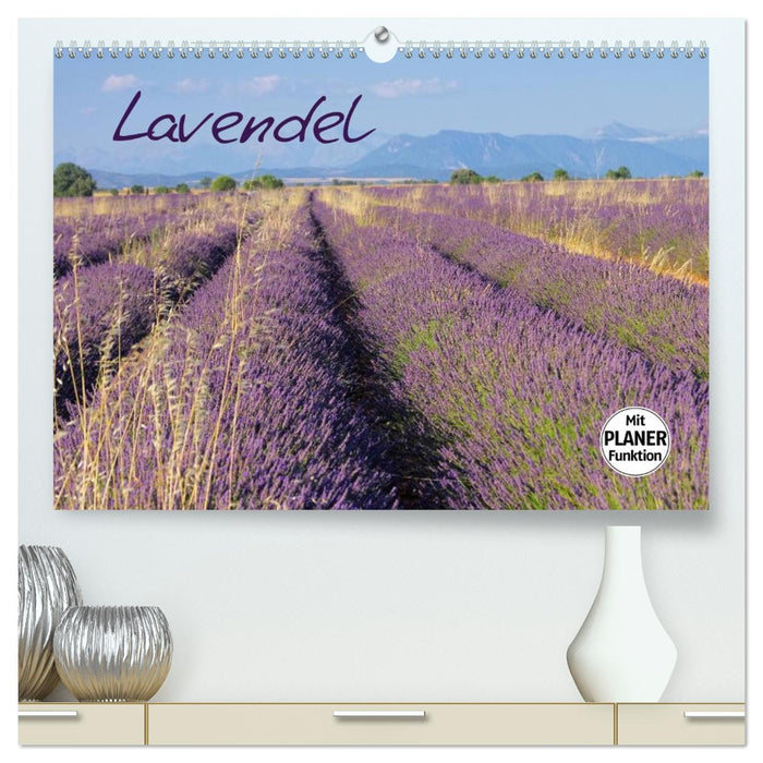 Lavendel (CALVENDO Premium Wandkalender 2026)