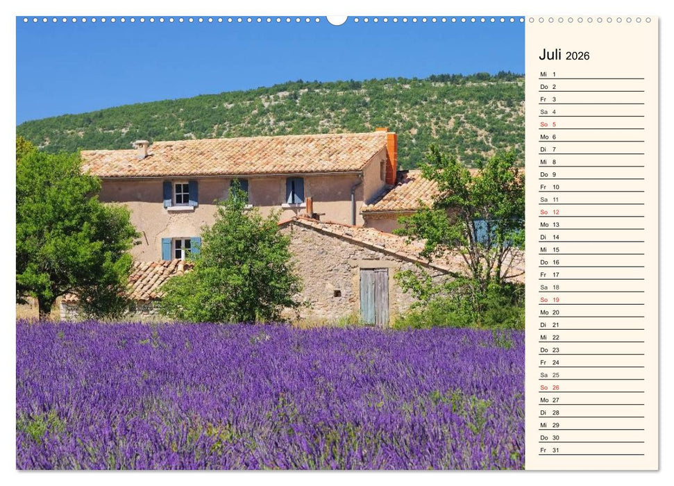 Lavendel (CALVENDO Premium Wandkalender 2026)