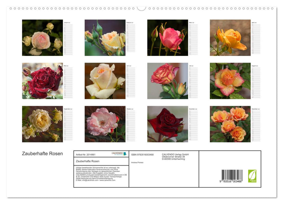 Zauberhafte Rosen (CALVENDO Premium Wandkalender 2026)