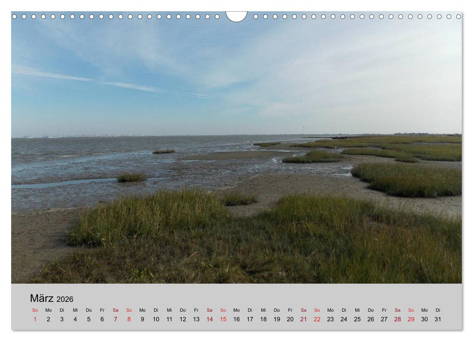 Blicke hinaus aufs Meer (CALVENDO Wandkalender 2026)