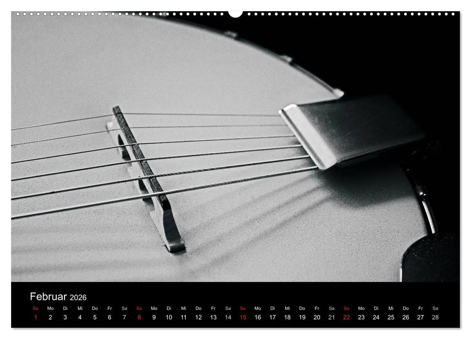 Meine Saiten Ansichten - Banjo, Gitarre, Klavier, Ukulele und Zitter von Ulrike SSK (CALVENDO Wandkalender 2026)