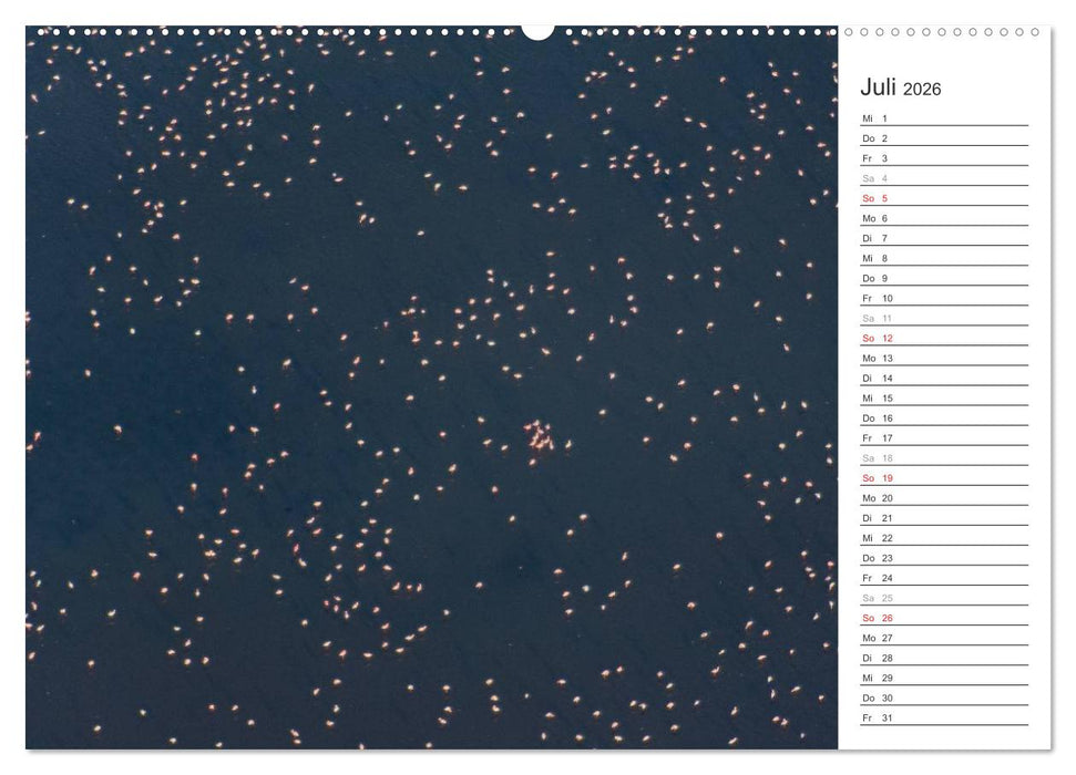 Flamingo Impressionen 2026 (CALVENDO Premium Wandkalender 2026)