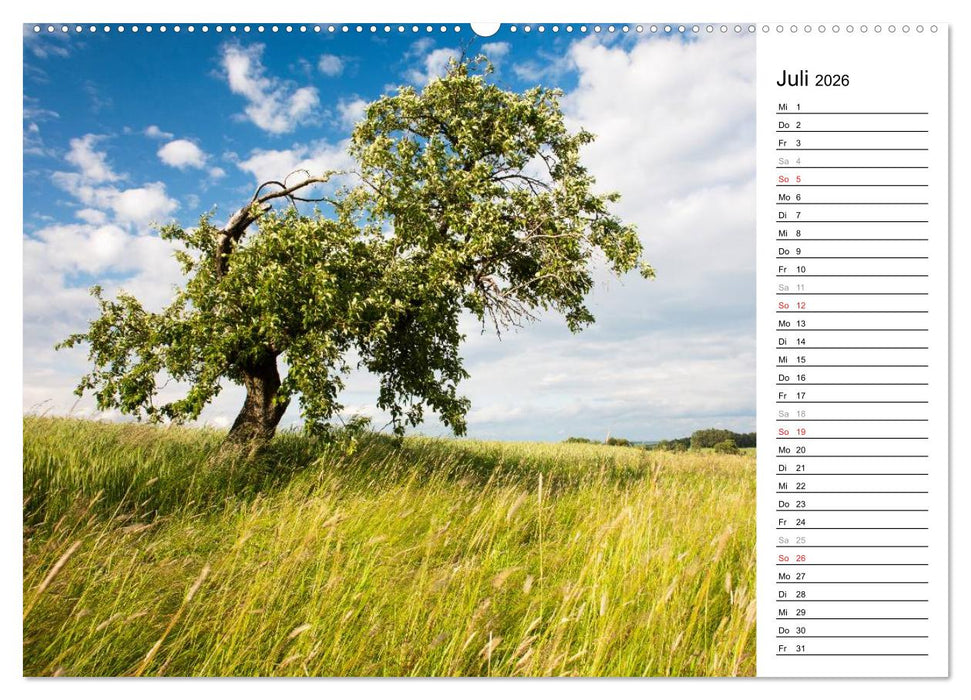 DER STEIGERWALD - Impressionen einer Landschaft (CALVENDO Premium Wandkalender 2026)