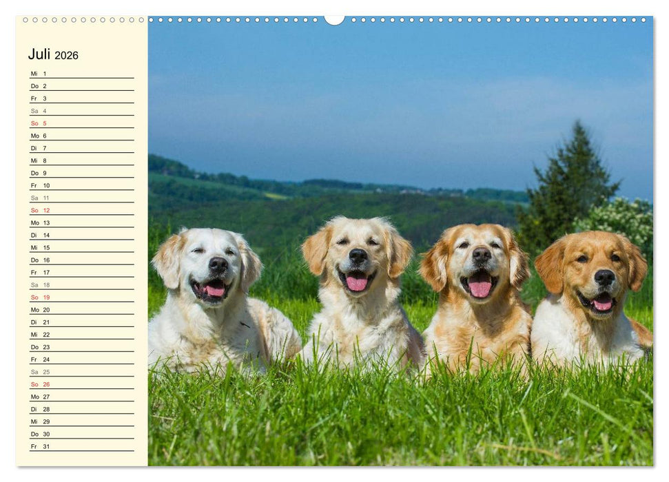 Das Glück hat einen Namen - Golden Retriever (CALVENDO Premium Wandkalender 2026)