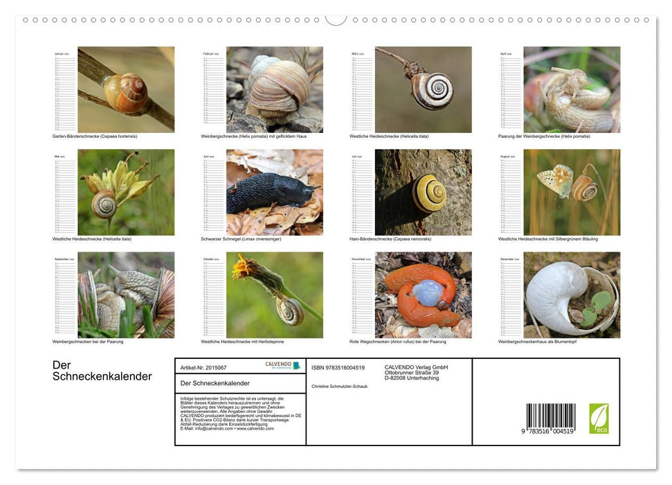 Der Schneckenkalender (CALVENDO Premium Wandkalender 2026)