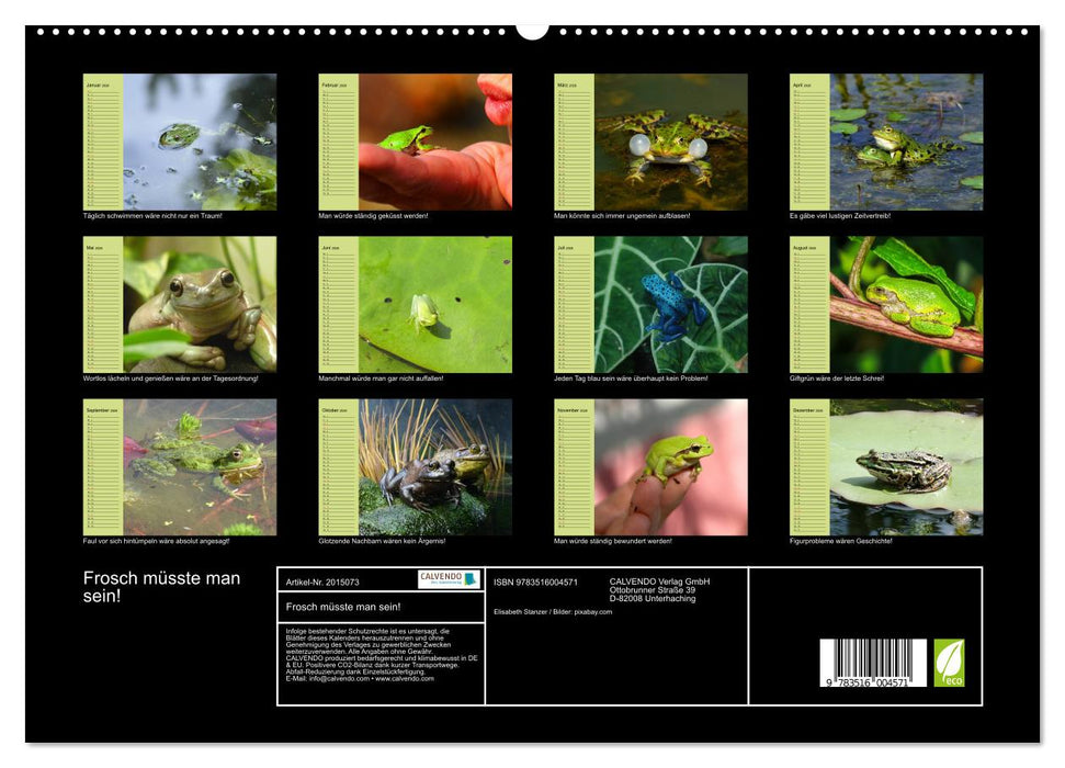 Frosch müsste man sein! (CALVENDO Premium Wandkalender 2026)