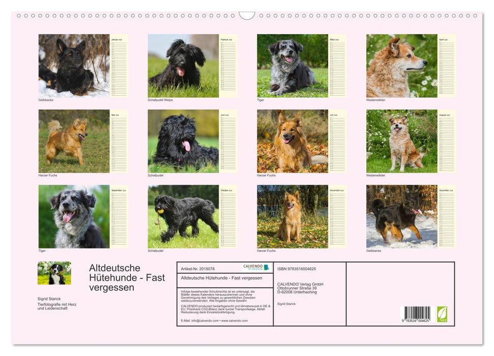 Altdeutsche Hütehunde - Fast vergessen (CALVENDO Wandkalender 2026)