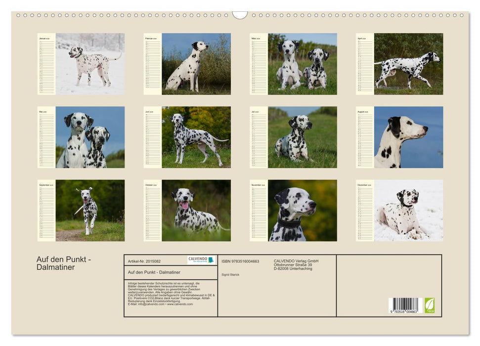 Auf den Punkt - Dalmatiner (CALVENDO Wandkalender 2026)