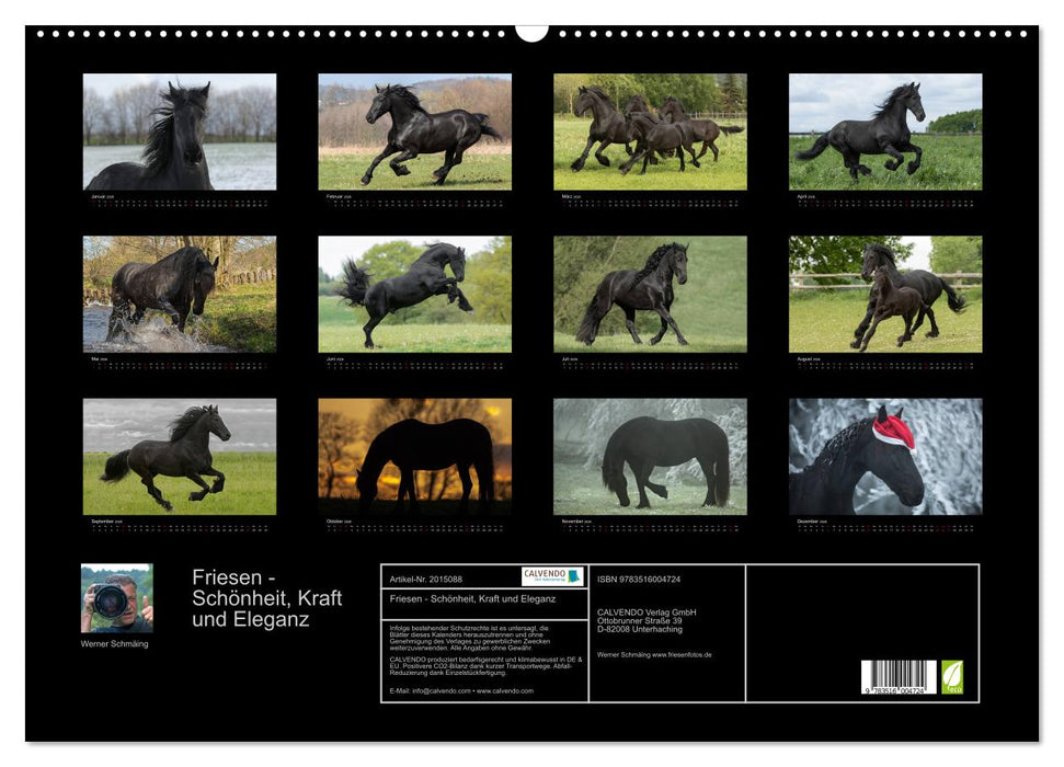 Friesen - Schönheit, Kraft und Eleganz (CALVENDO Wandkalender 2026)